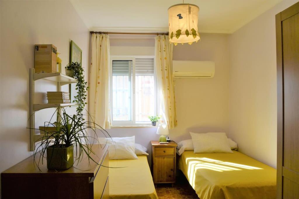 El Apartamento De Trini Σεβίλλη Εξωτερικό φωτογραφία